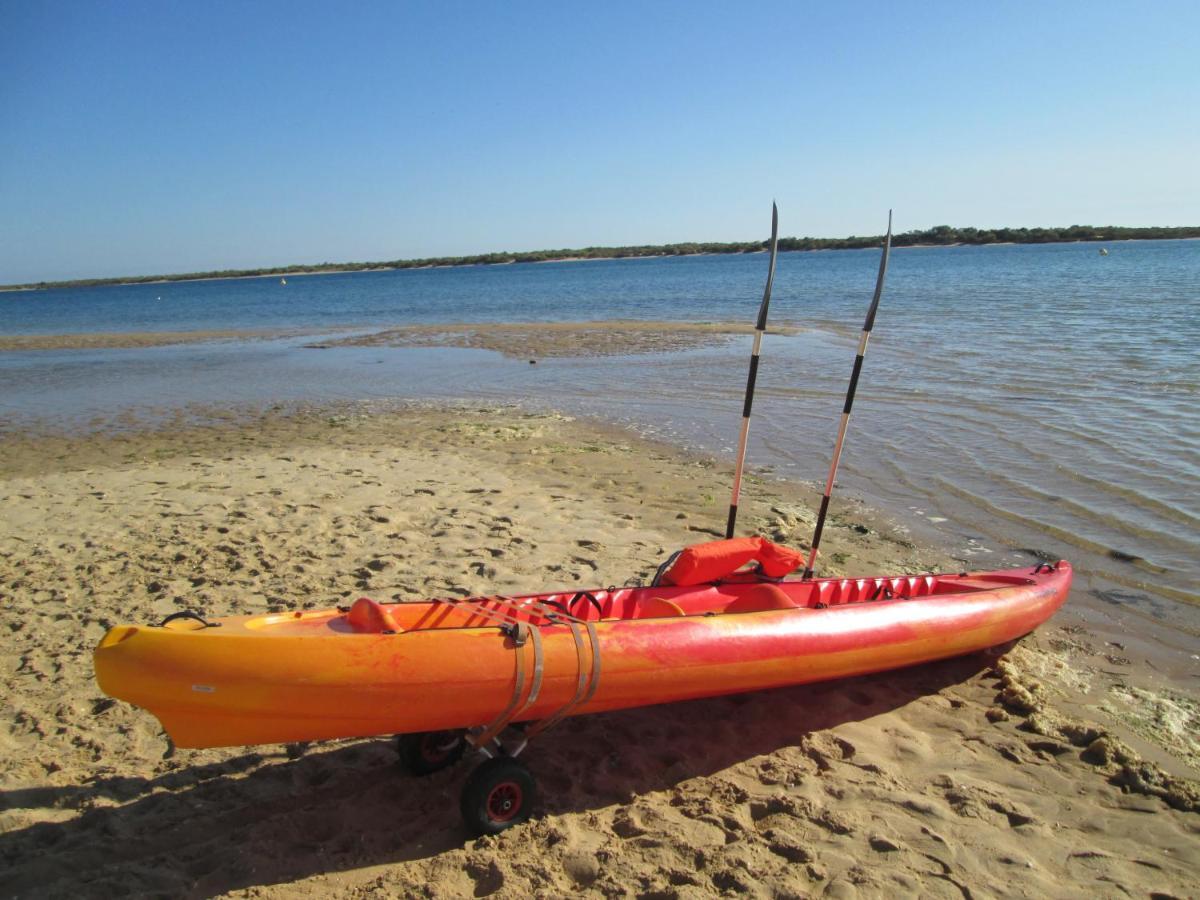 Disfruta Del Paraiso En Primera Linea De Playa Con Kayak Y Paddle Surf