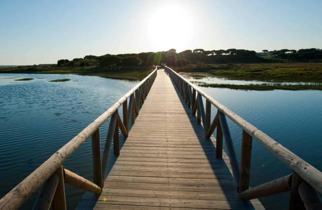 Disfruta Del Paraiso En Primera Linea De Playa Con Kayak Y Paddle Surf El Rompido