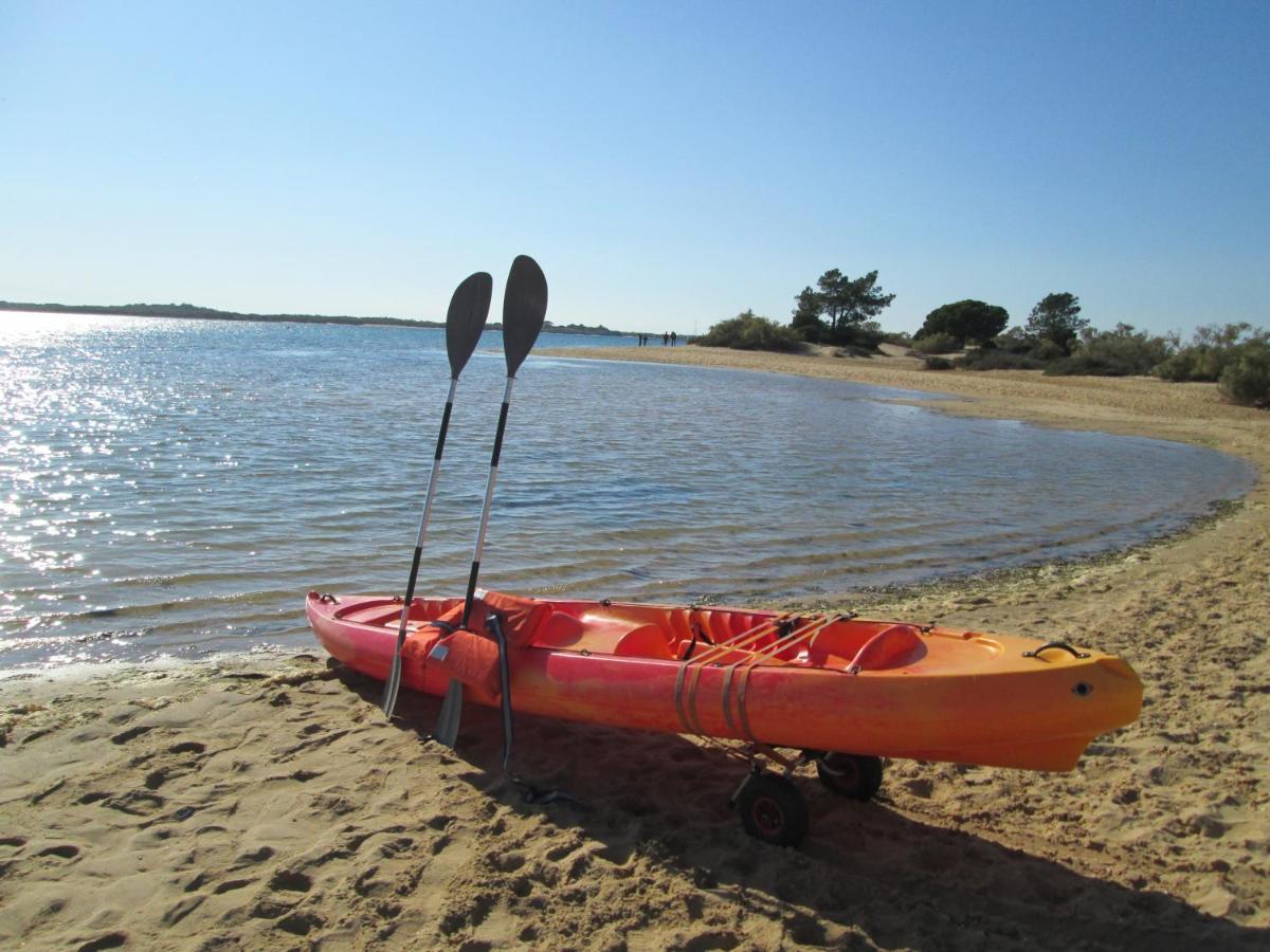 Disfruta Del Paraiso En Primera Linea De Playa Con Kayak Y Paddle Surf El Rompido